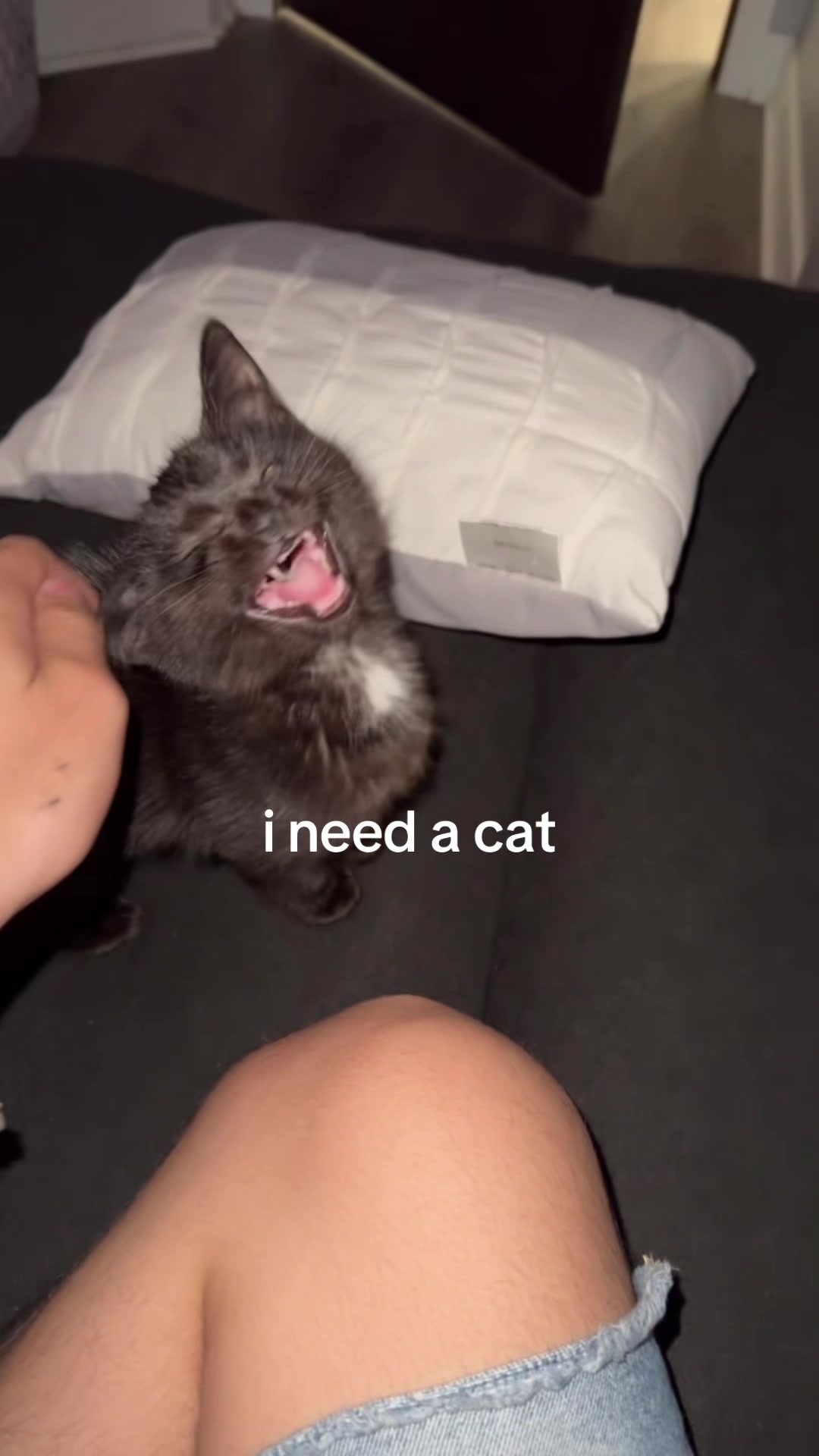 @shuno