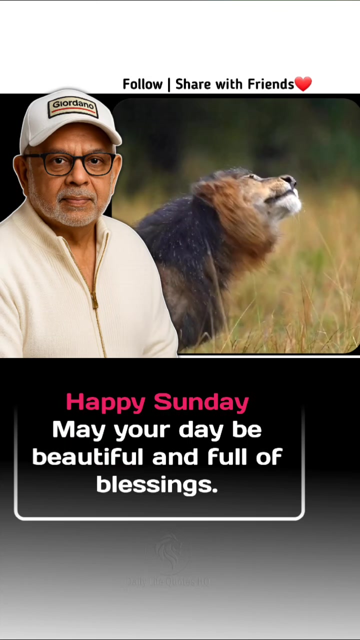 @Daily Life Quotes HQ®