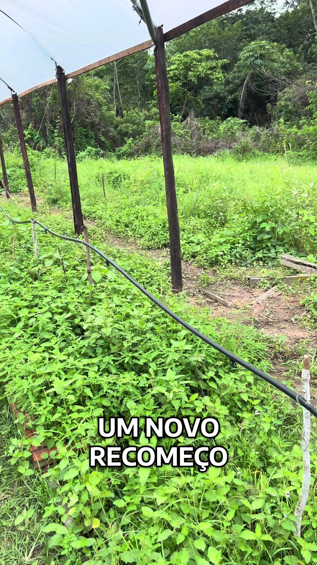 @souza