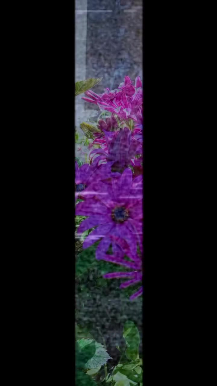 @ibrah1mli_00