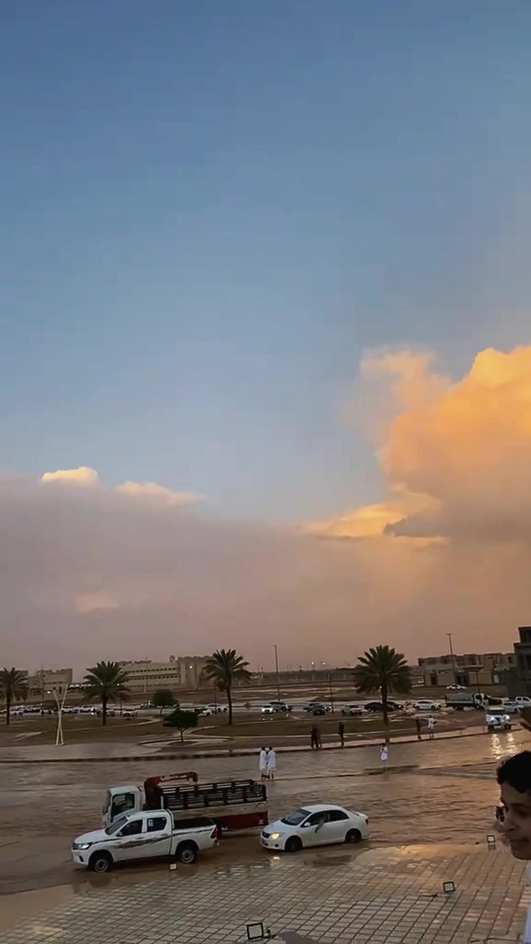 @مشعل الدوسري