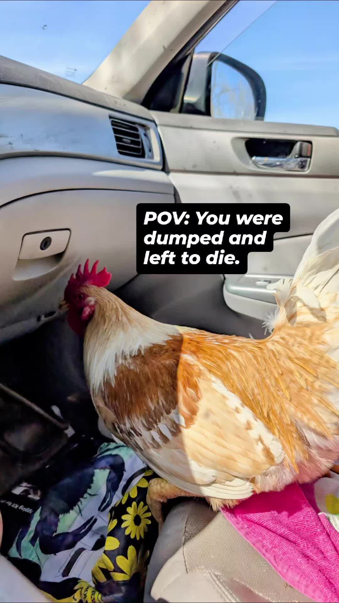 @Kelly Rutkowski