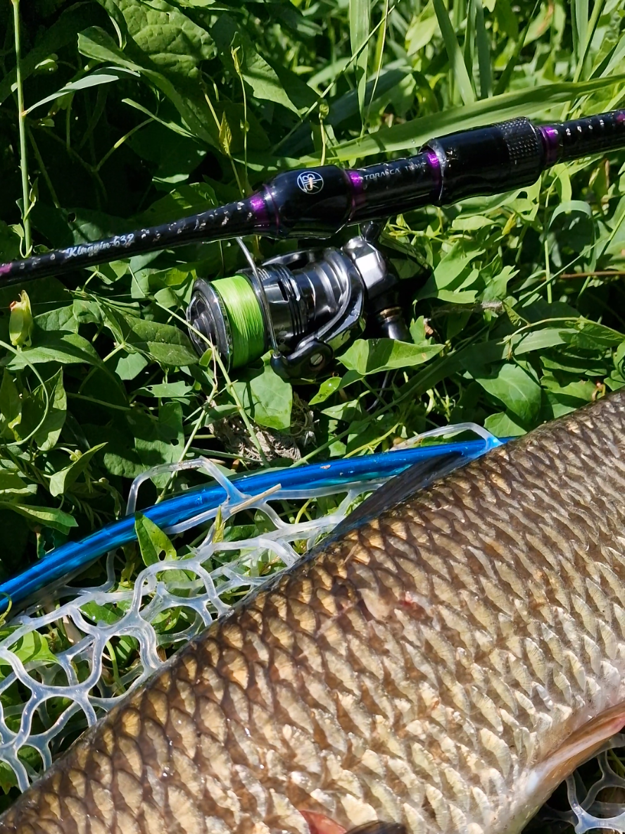 @BF Angler