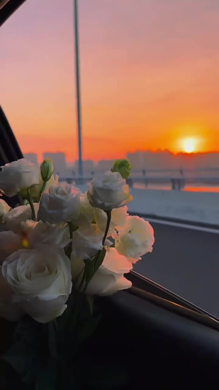 @GÜLÜM✅️