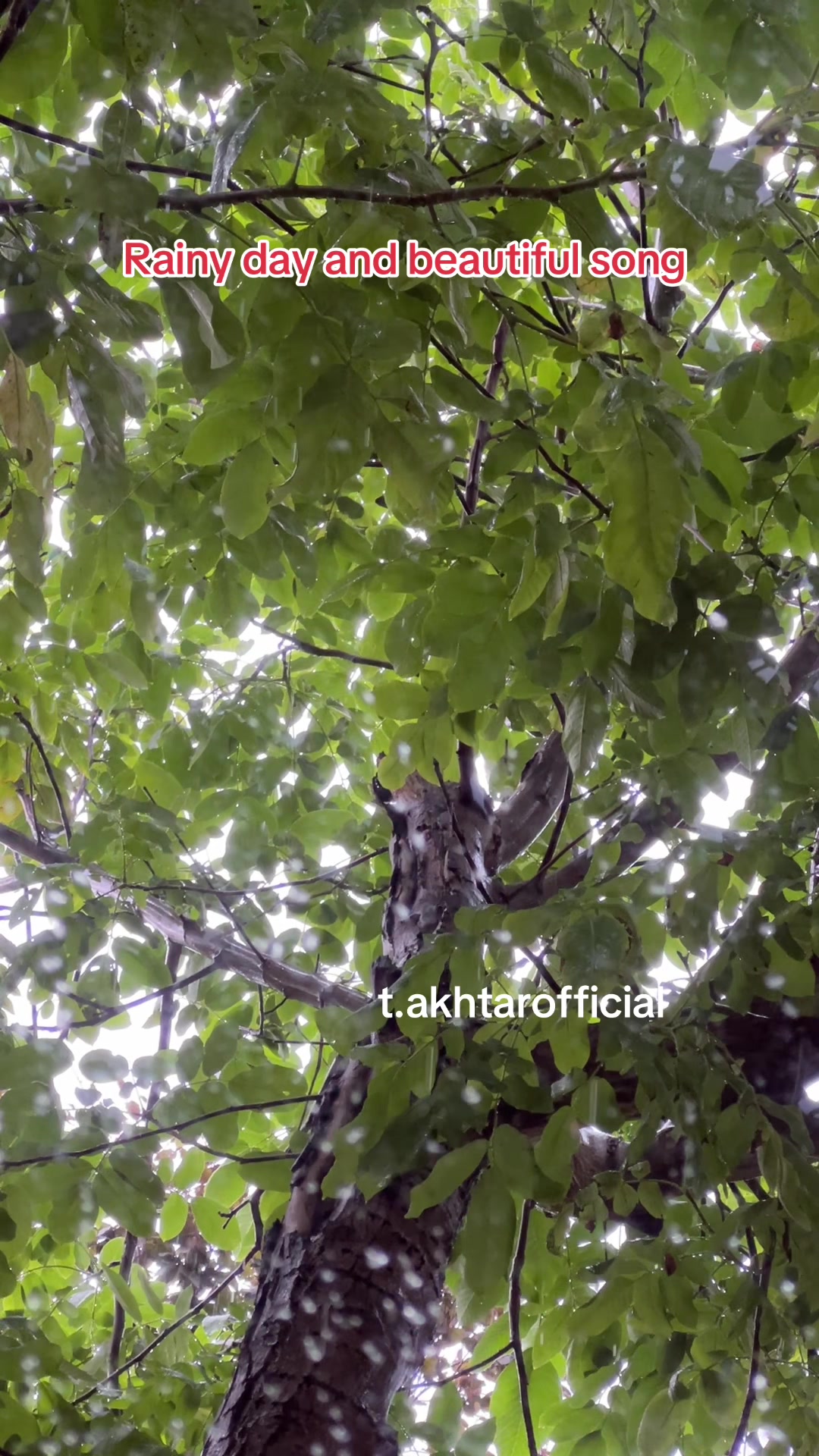 @T.Akhtar Official