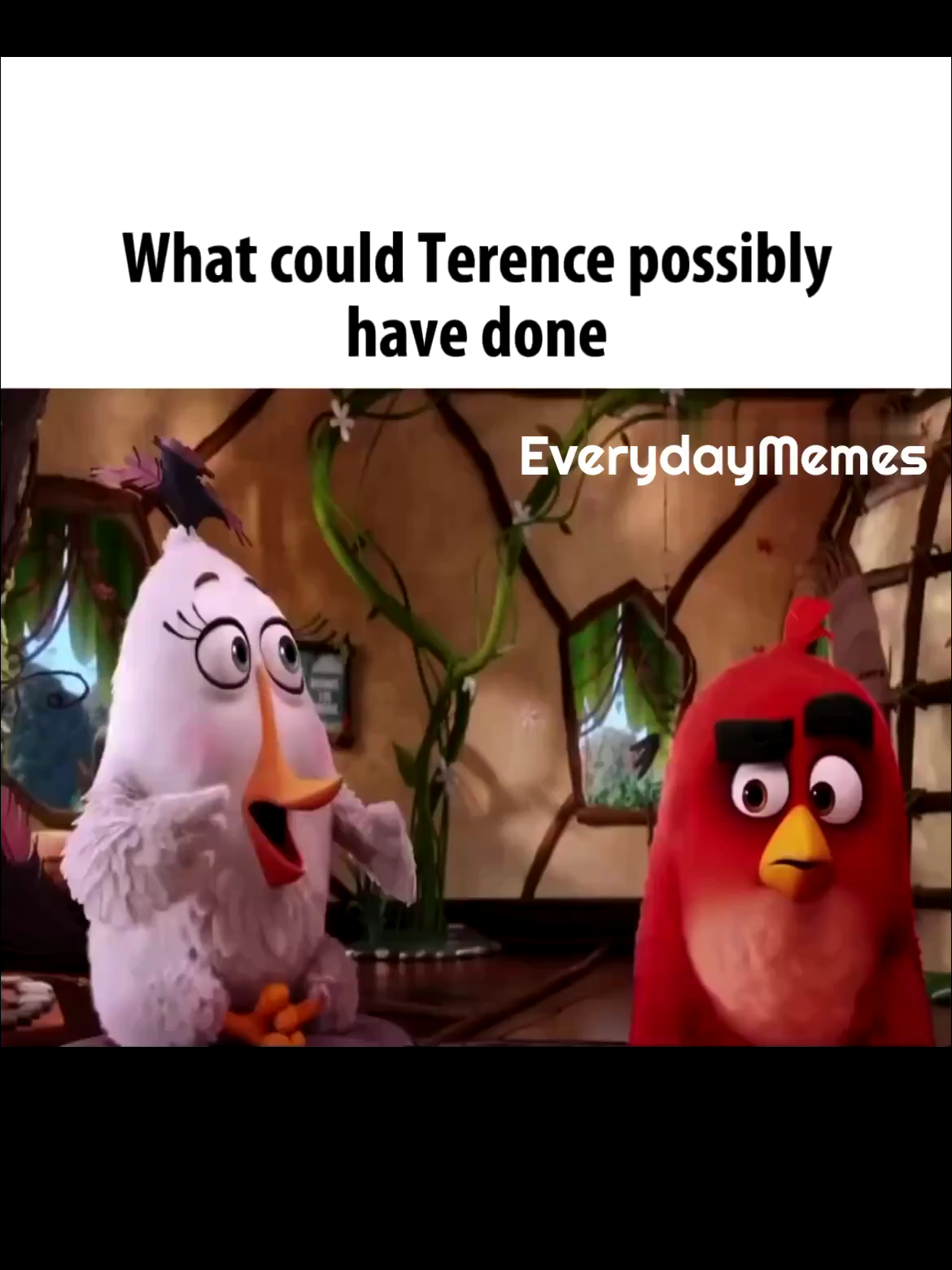 @EverydayMemes