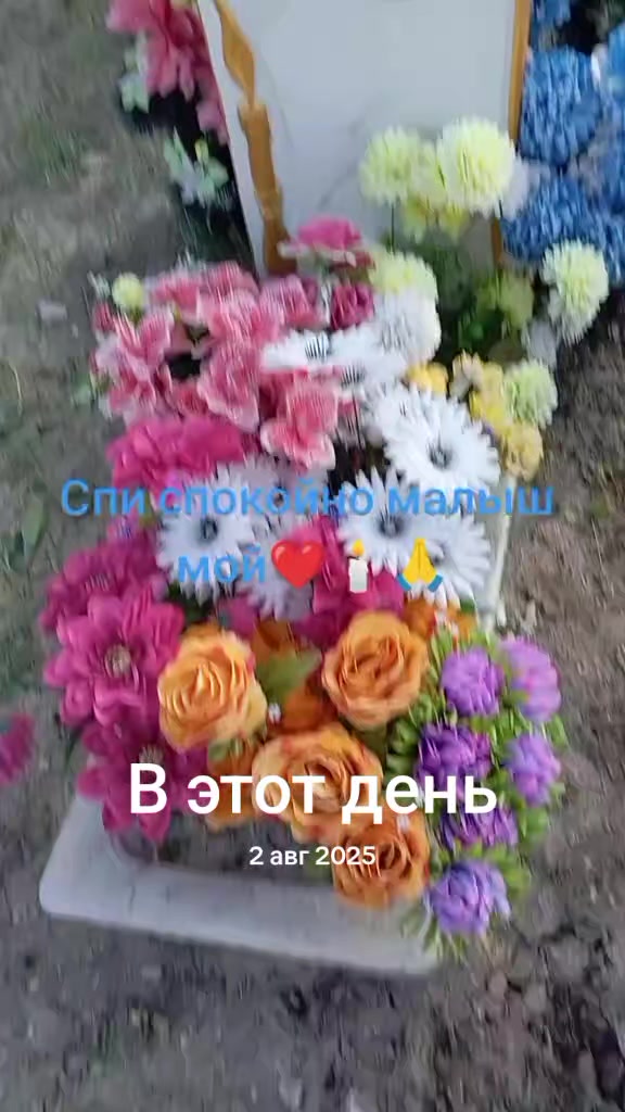 @🇷🇺Dashylik🇷🇺