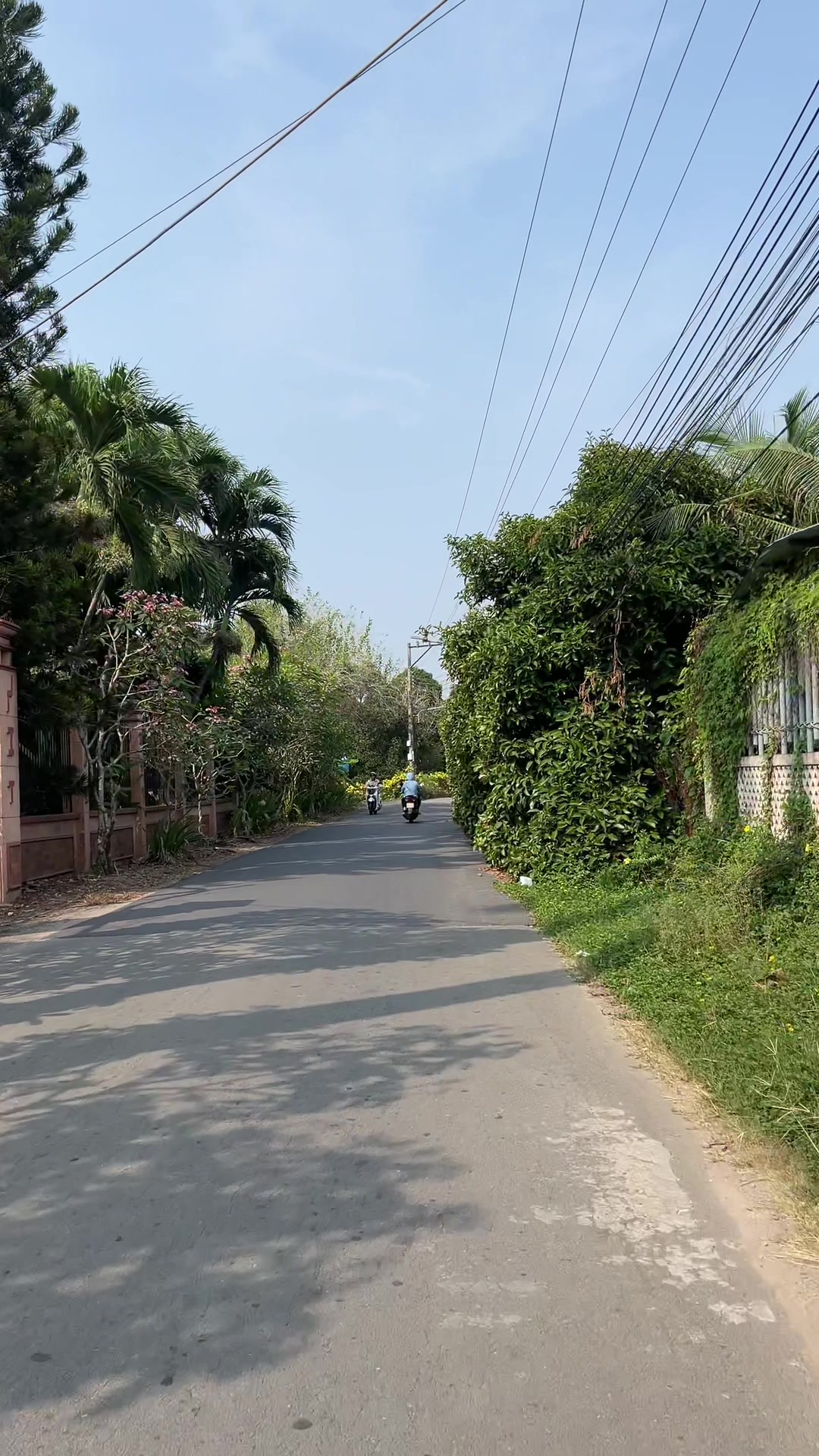 @hoangbinhduong