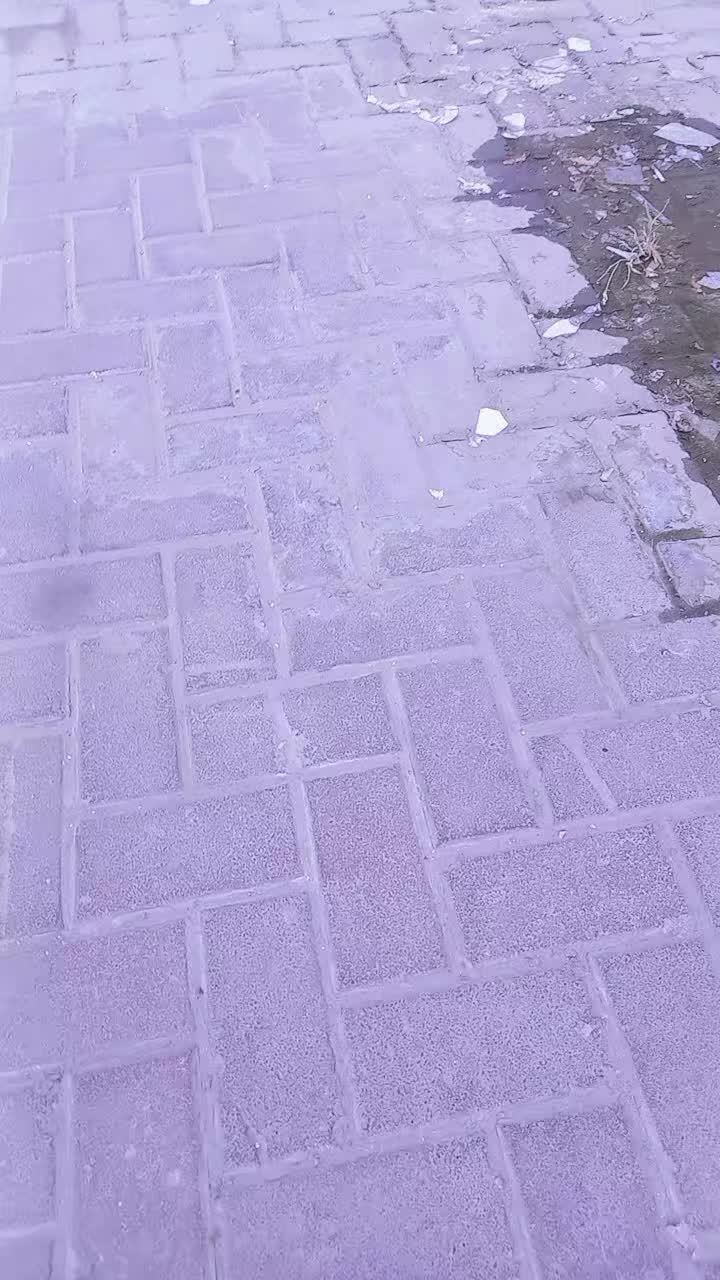 @rajesh Nani