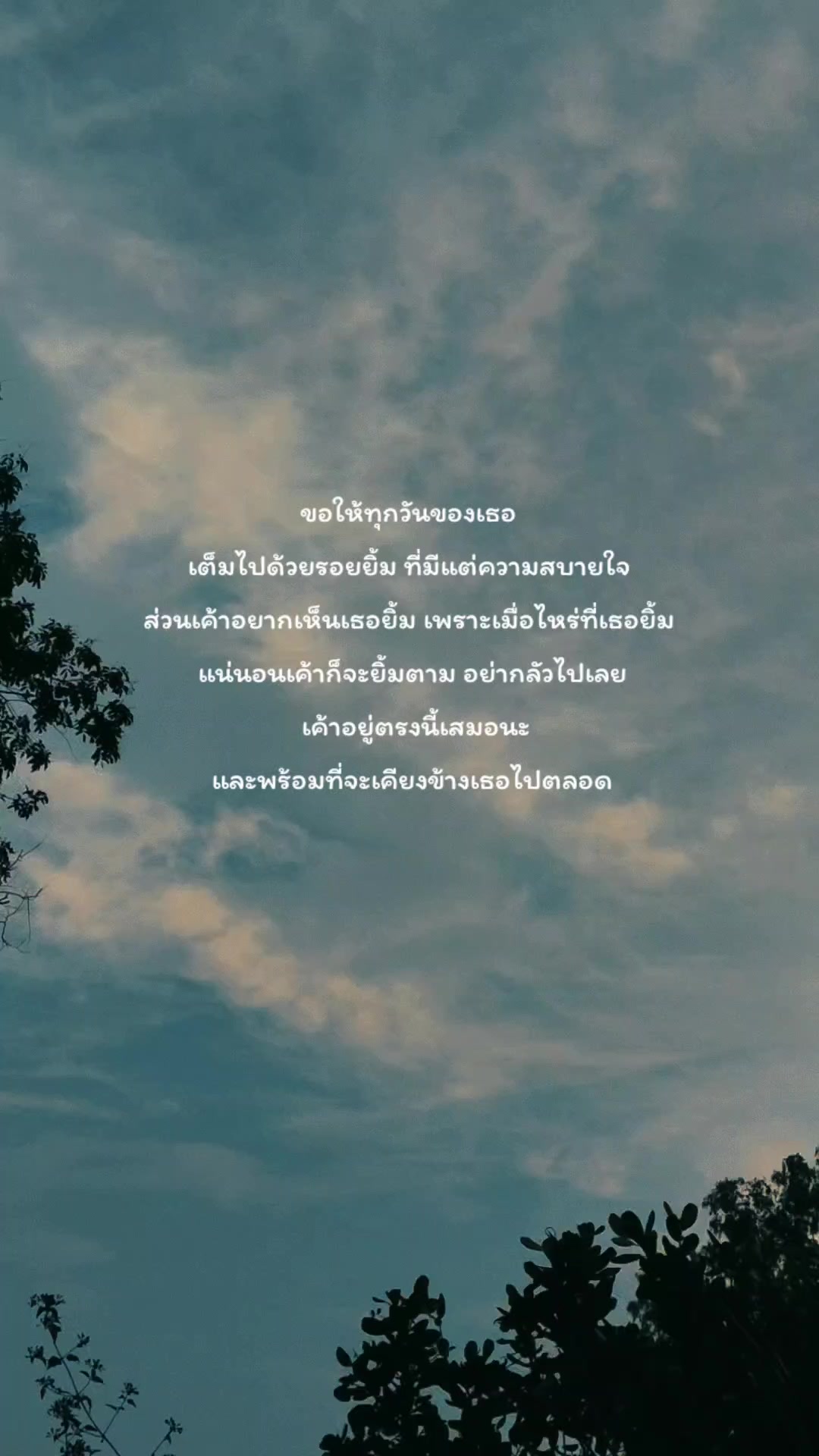@pipat🌻🤍51.7K