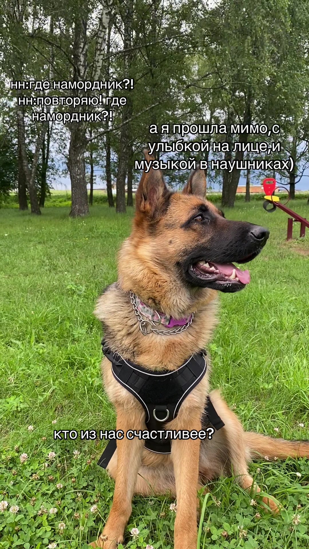 @𝓭𝓪𝓻 𝓭𝓸𝓰🥨🍂