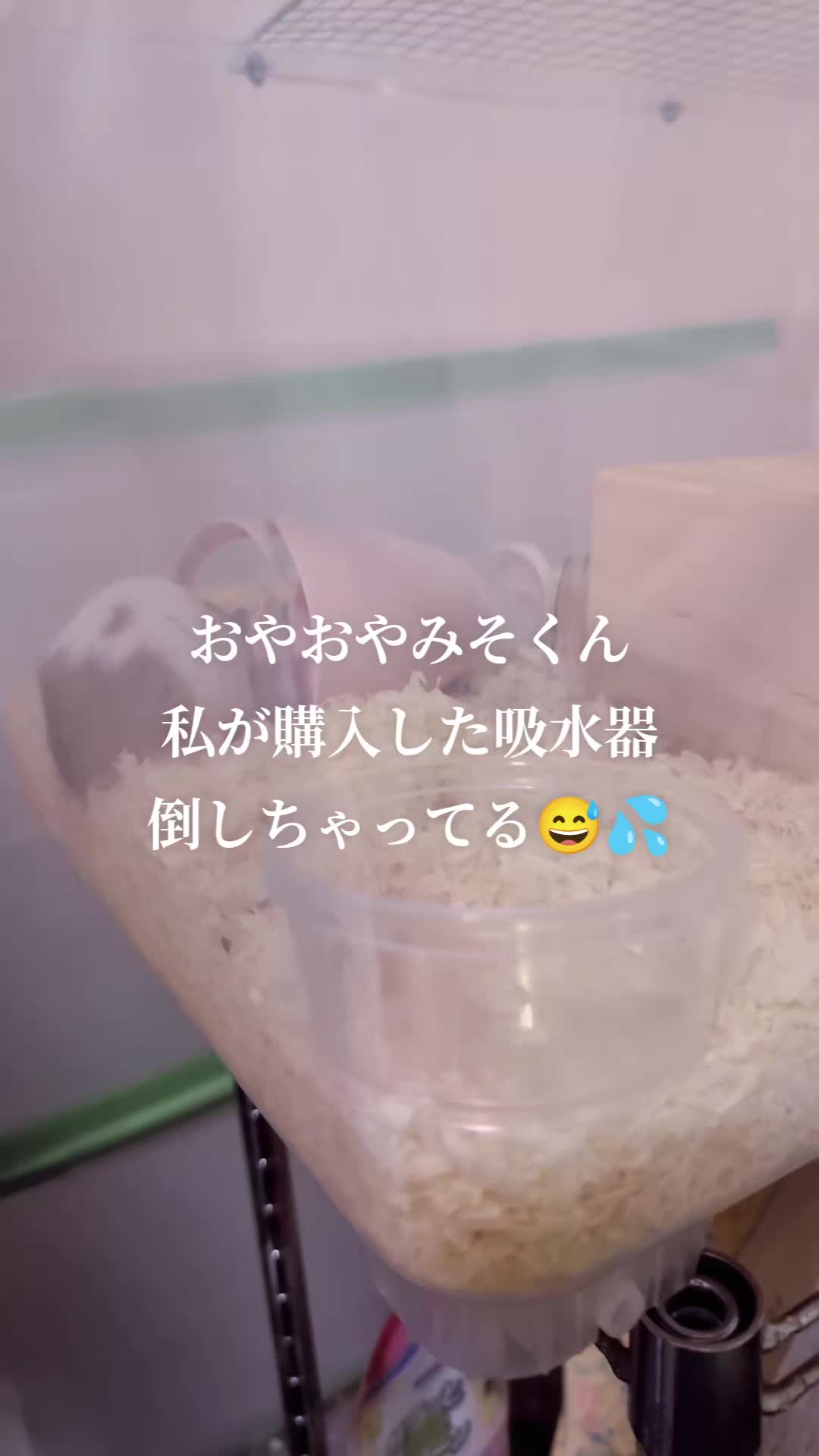 @K・B・M