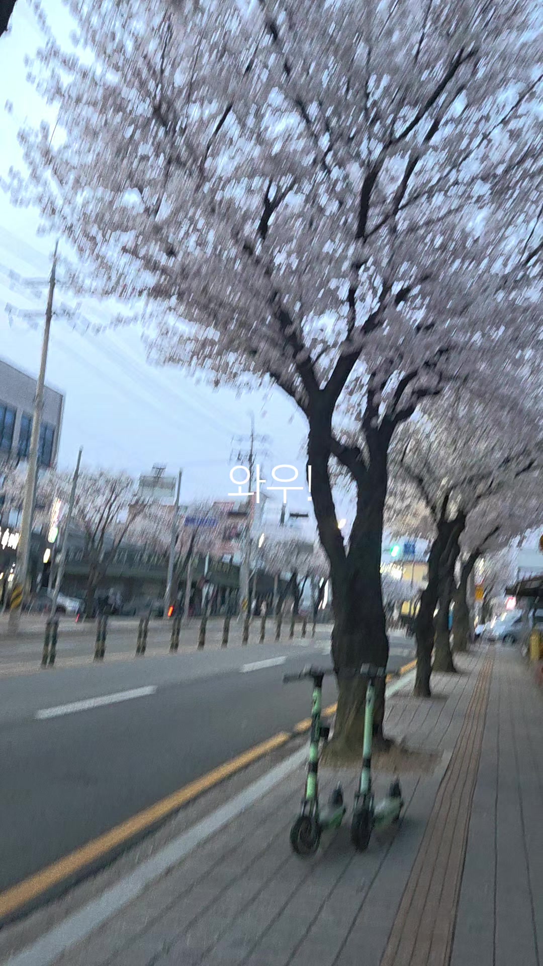 @성찬조