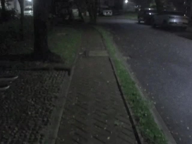 @tg: uitstelslaap 𖣂