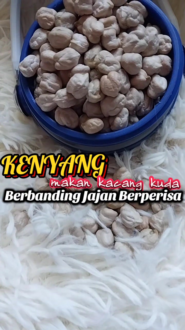 @MaSyeArifin