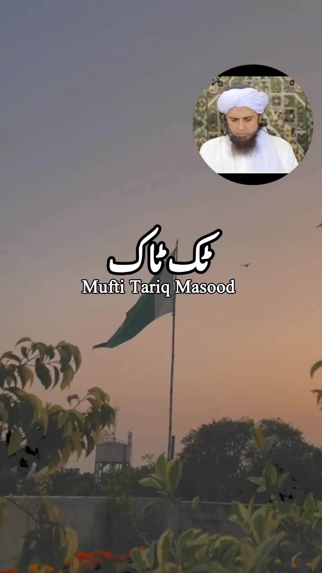 @zulfi khan