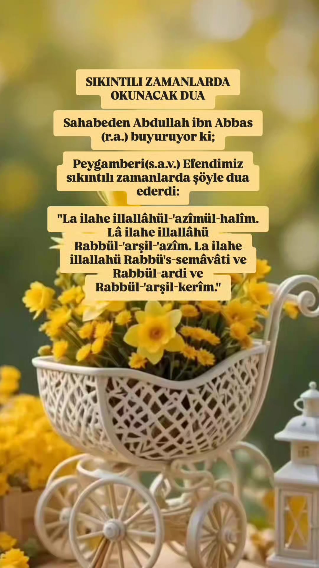 @hayat nereye gidiyor