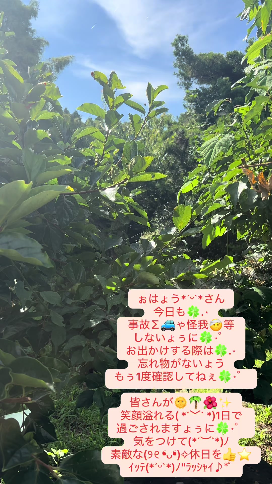 @coo~ꕤ୭*