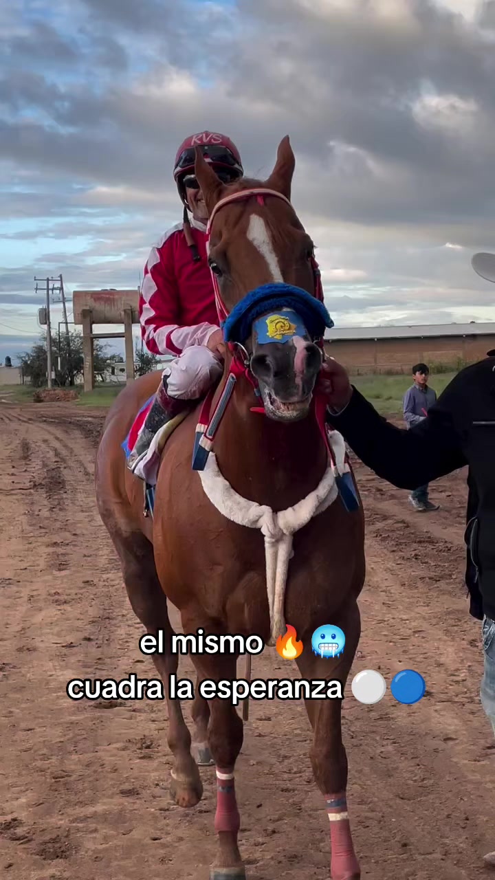 @carriles altos de jalisco🐎