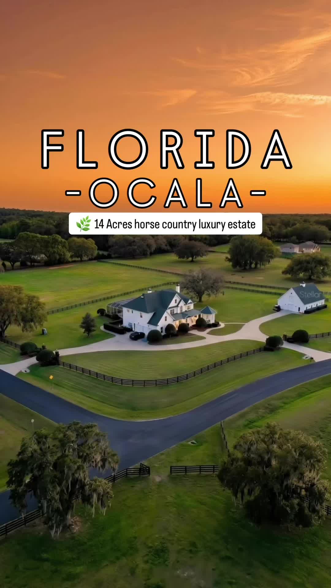 @Diana Gonzalez Realtor