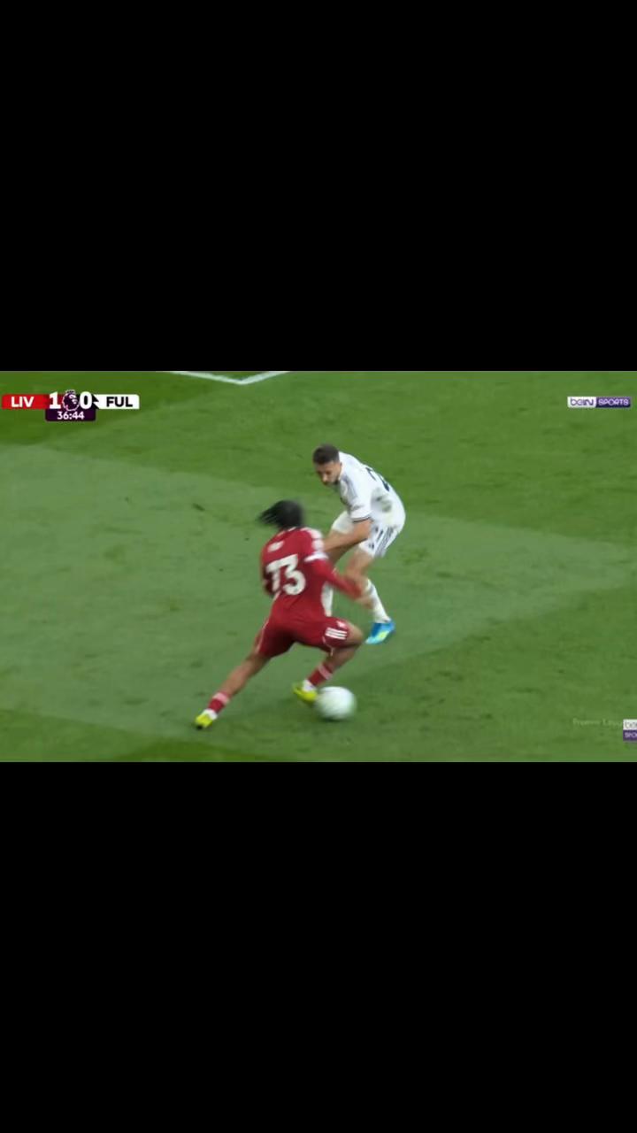 @𝘠𝘶𝘻𝘢𝘳𝘴𝘪𝘧 🇹🇷