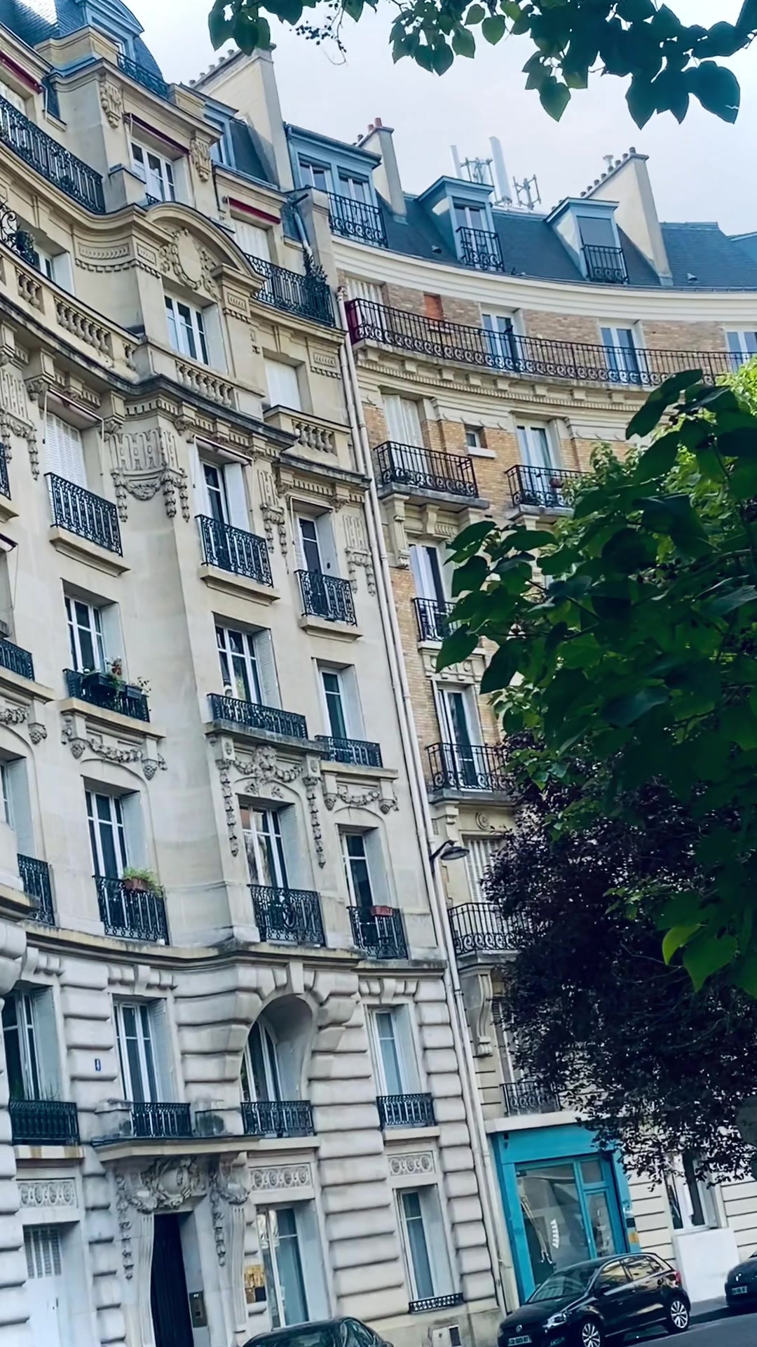 @𝗦𝗛𝗔𝗡𝗜_🇫🇷