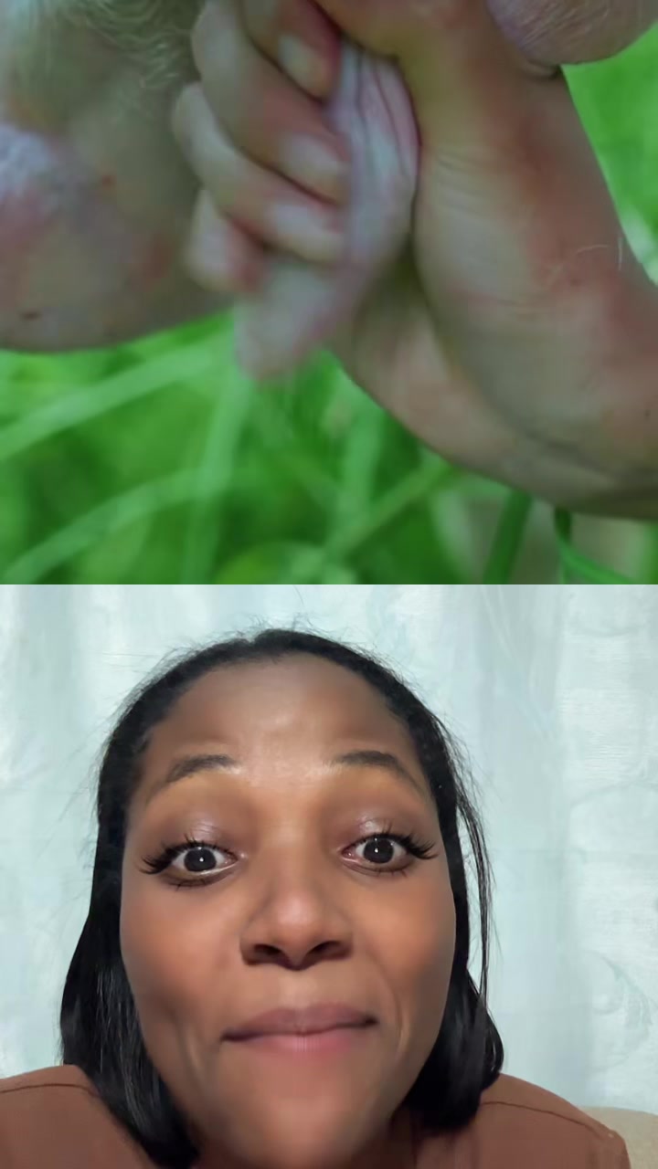 @💚ritaangulo👑🥑