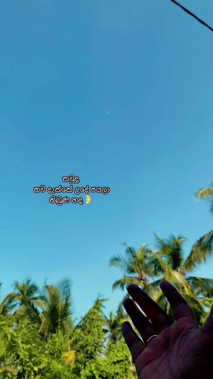 @🇯🇵Dilani Vidana Arachchi🇱🇰