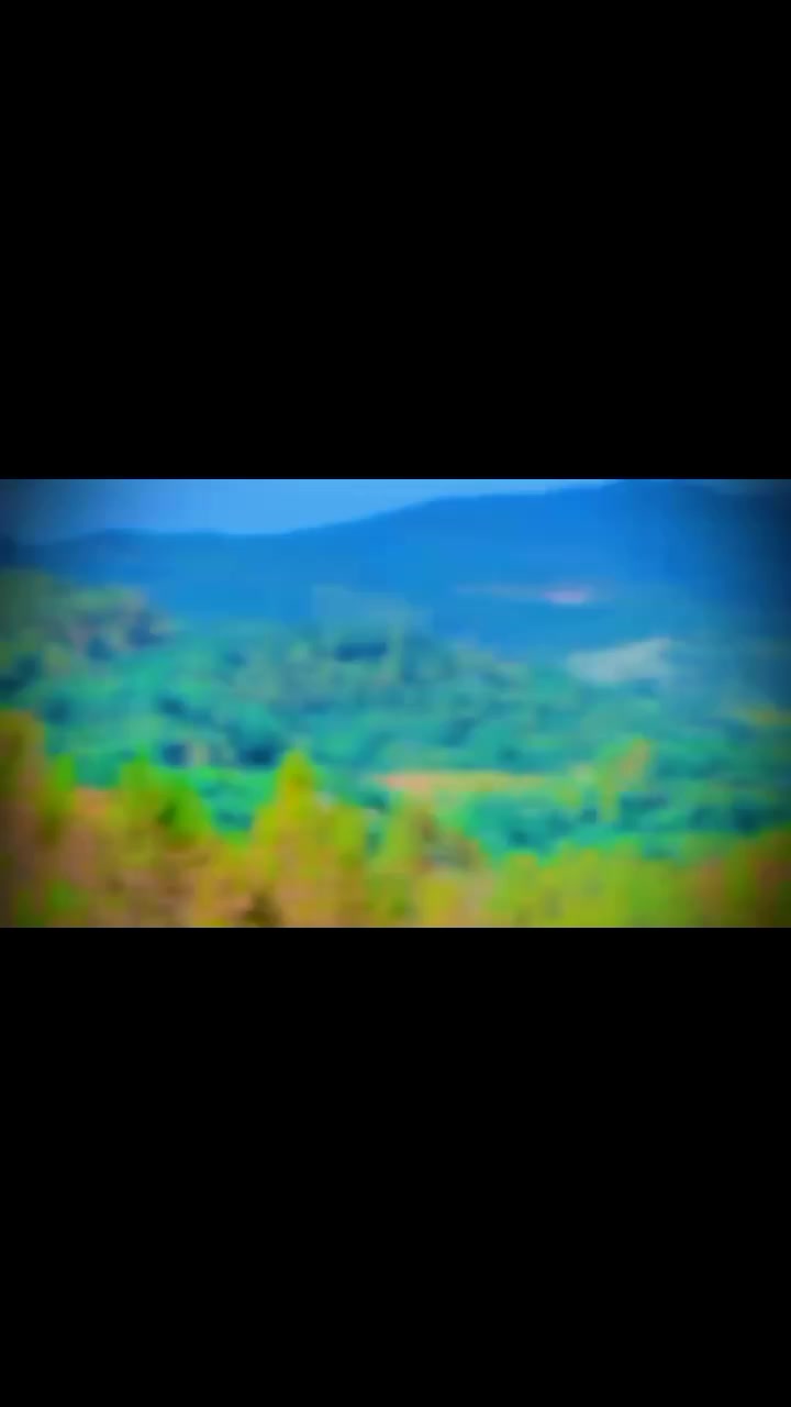 @👑سردار بادشاہ👑