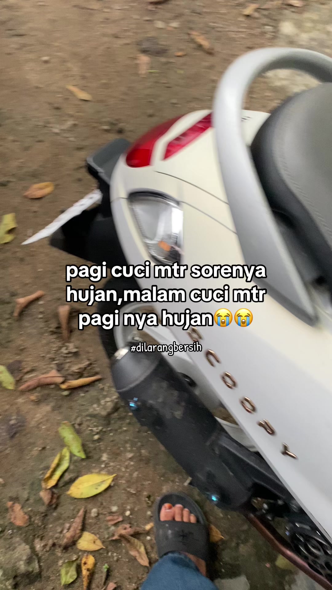 @๐๐๐๐๐๐โผ๏ธ