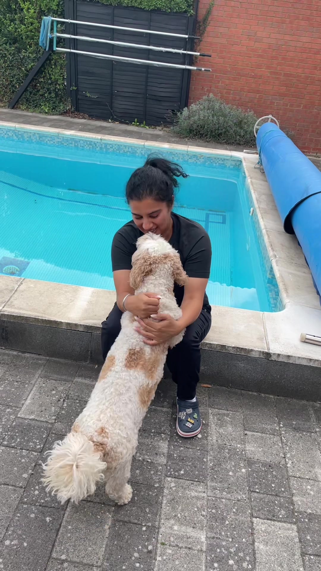 @My Cavachon