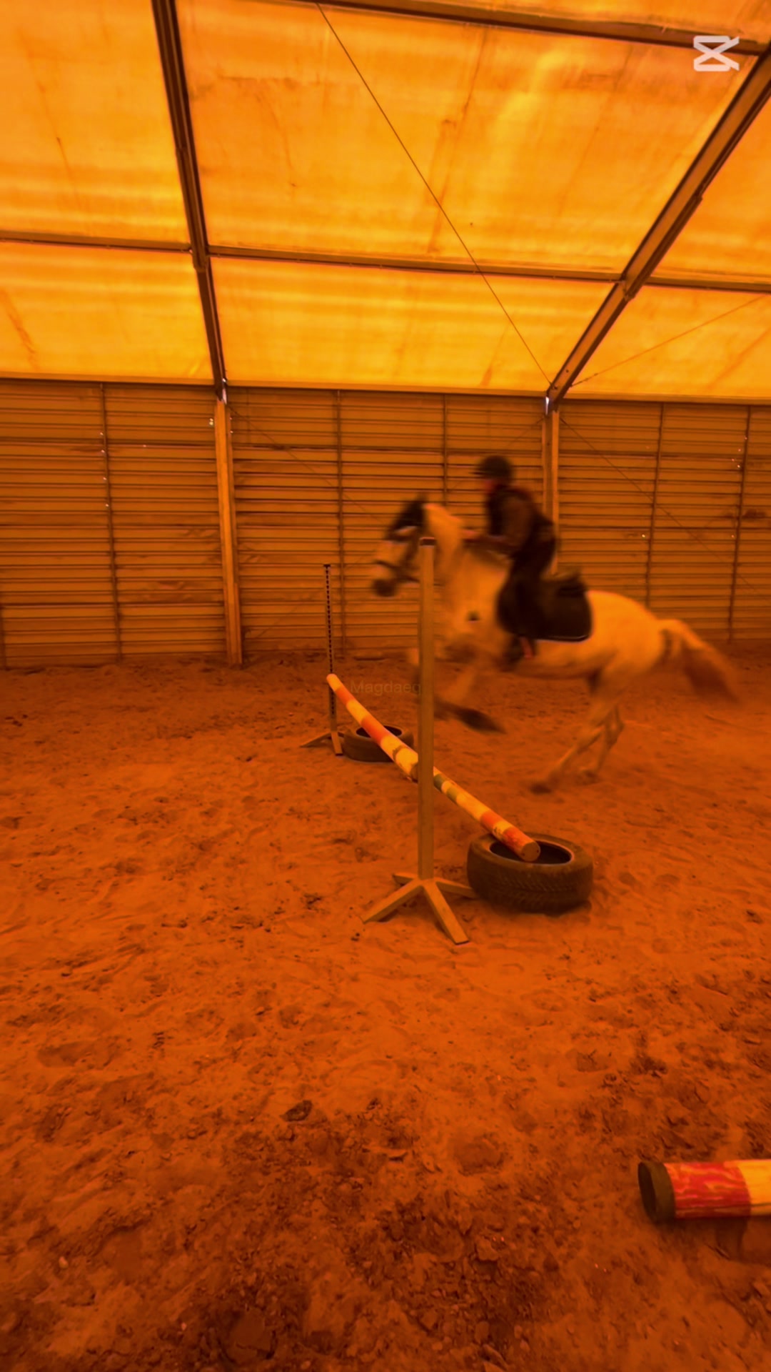@😻🐴Eq._.N🐴😻