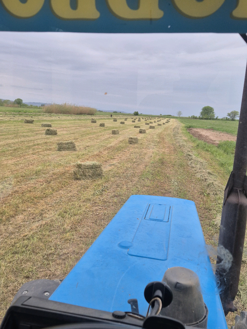 @belarus mtz82.1