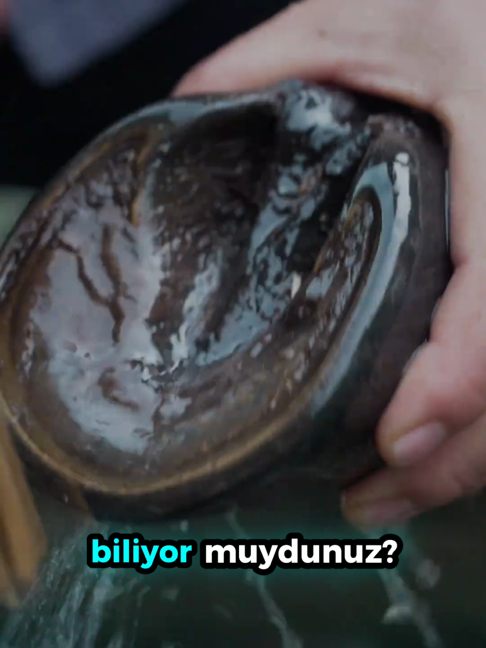 @beynegrafya