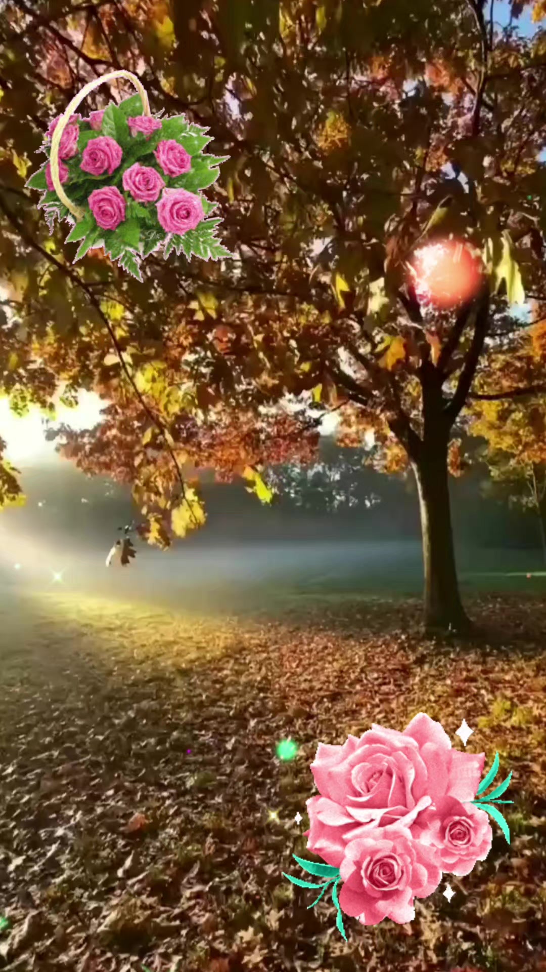 @A..AĞDAMLI⚘🇦🇿