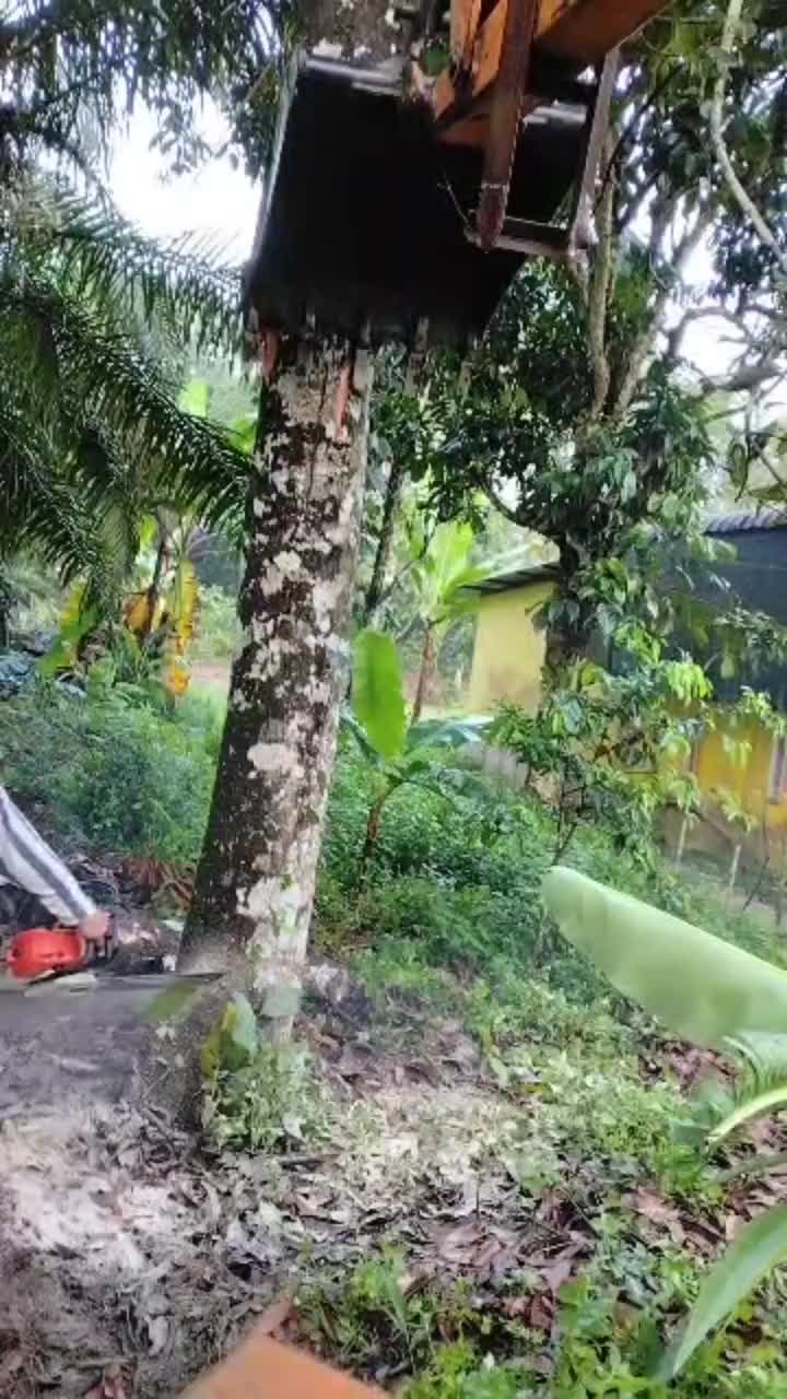 @AmirGarcia69🇲🇾🐂🐐