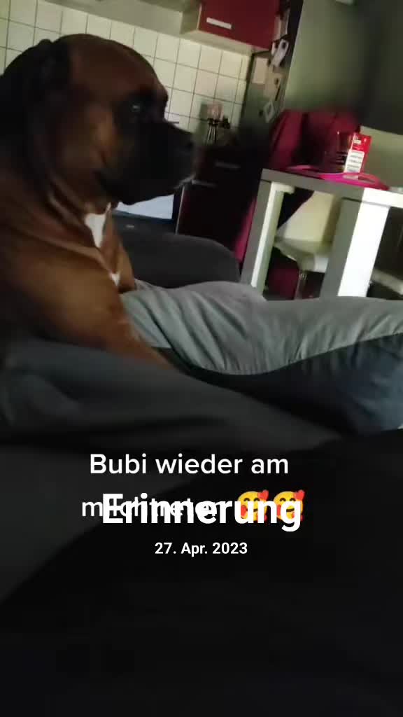 @⭐Biggi und Shadow ⭐
