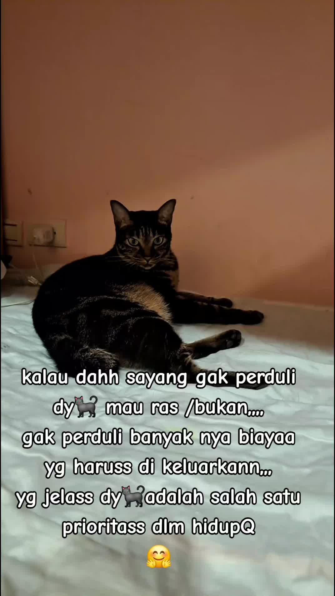 @sitykaai