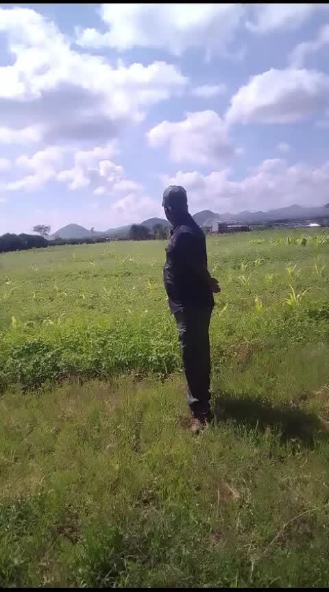 @engineer solo