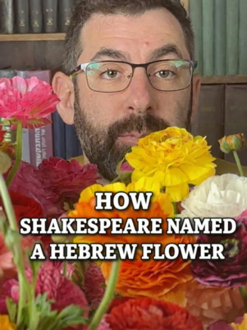 @Elon Gilad