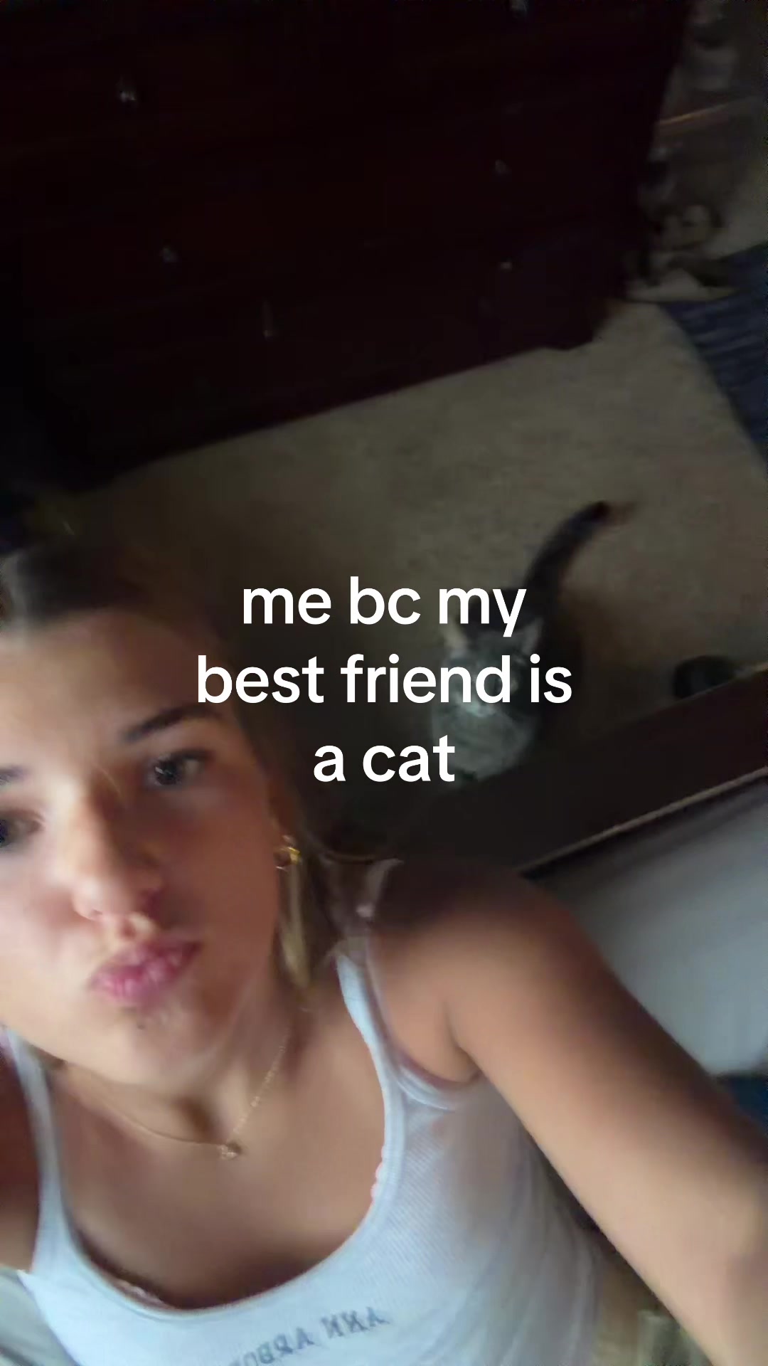 @pompom