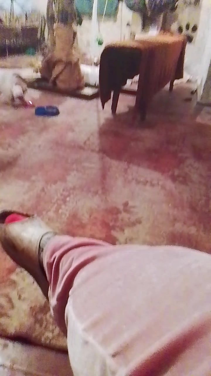 @Dgeki