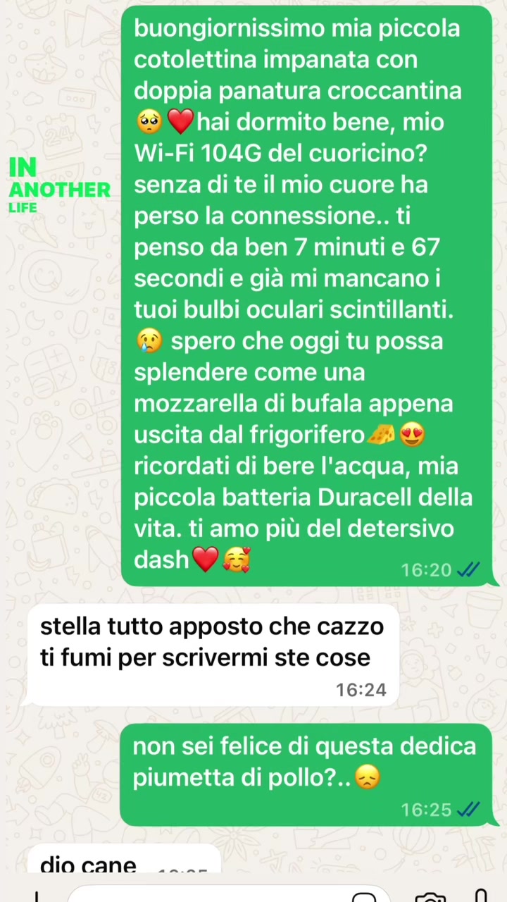 @stella 🌟