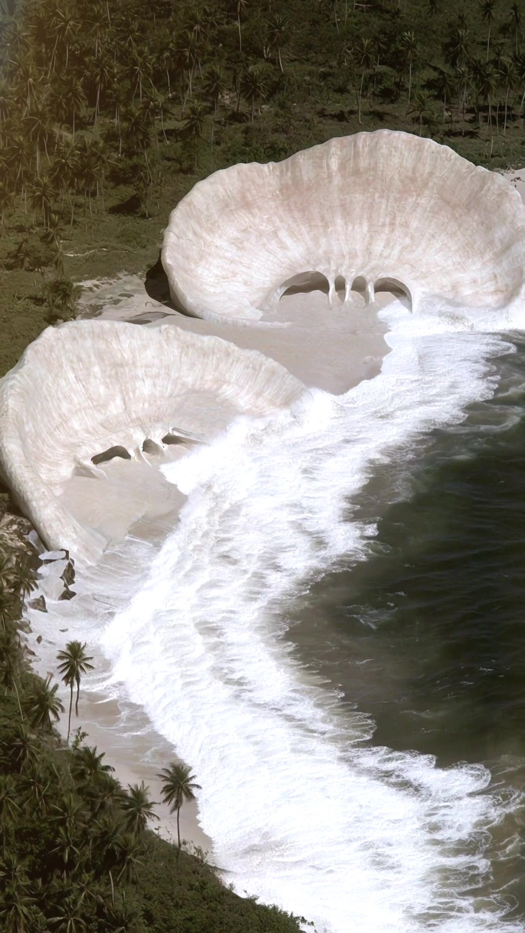 @SwampDiscoveries