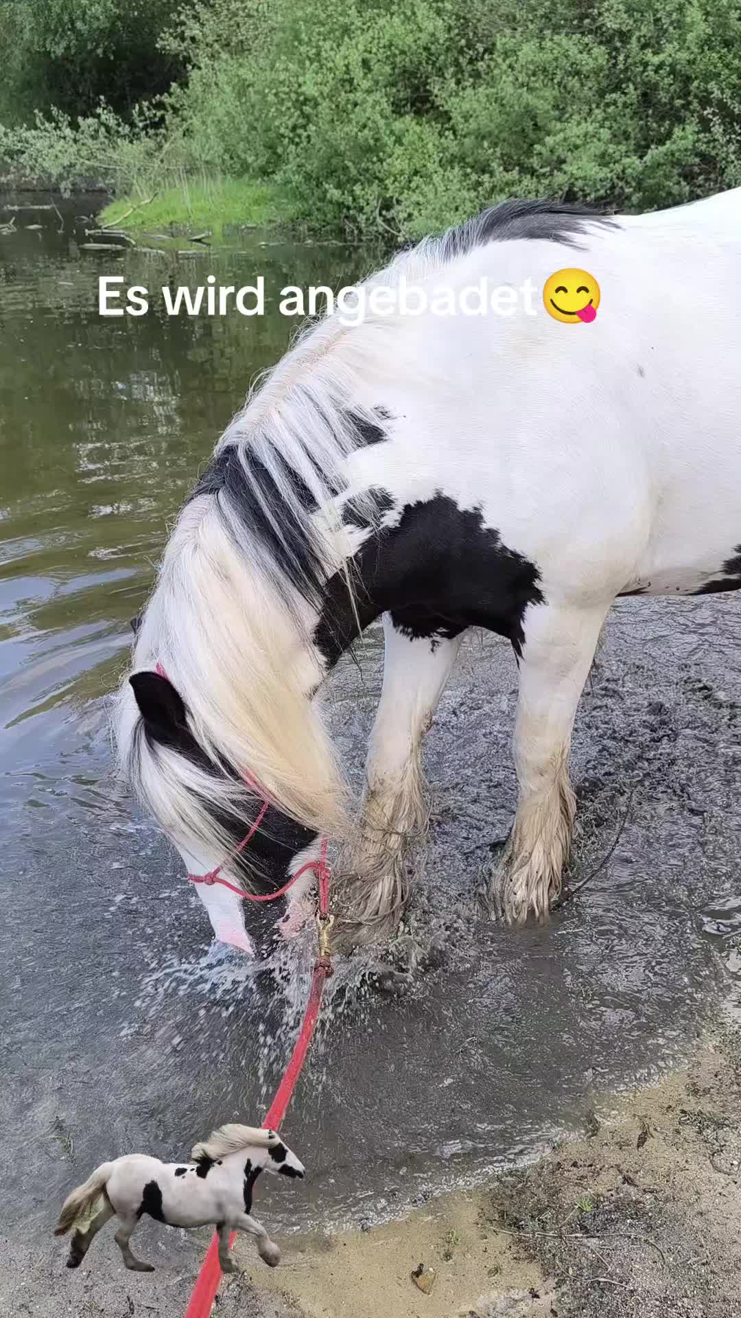 @Knallt&uuml;te