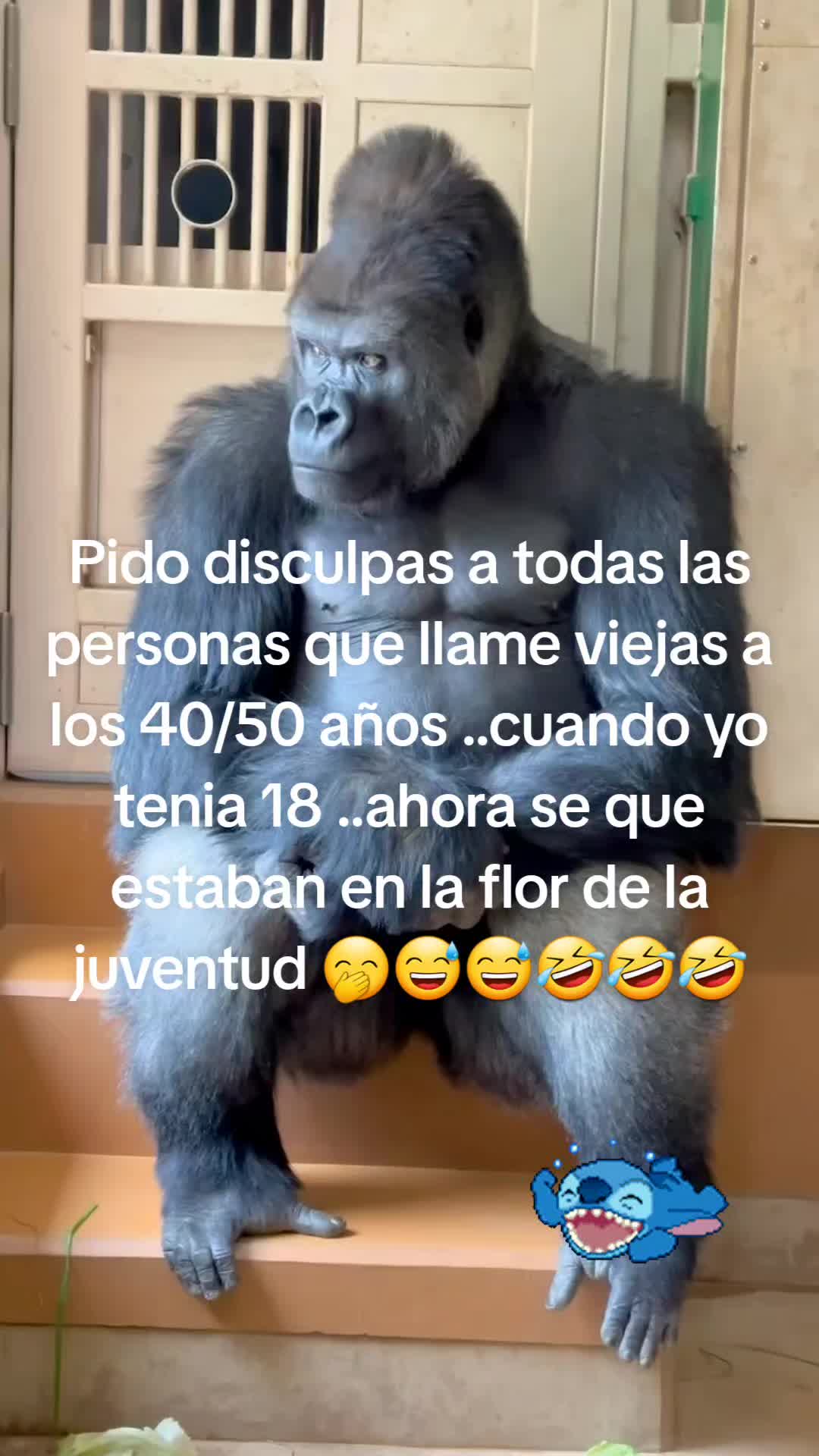 @Guanajuatopenjamo