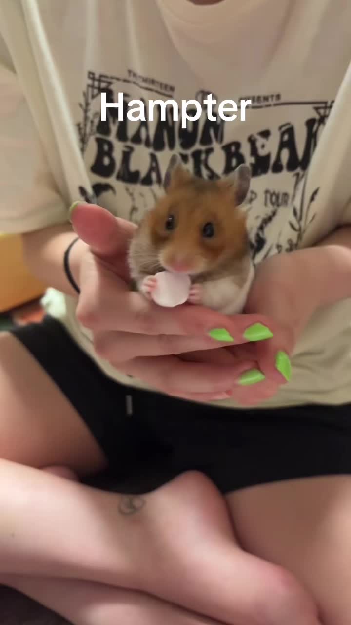 @thatweirdanimalgirl