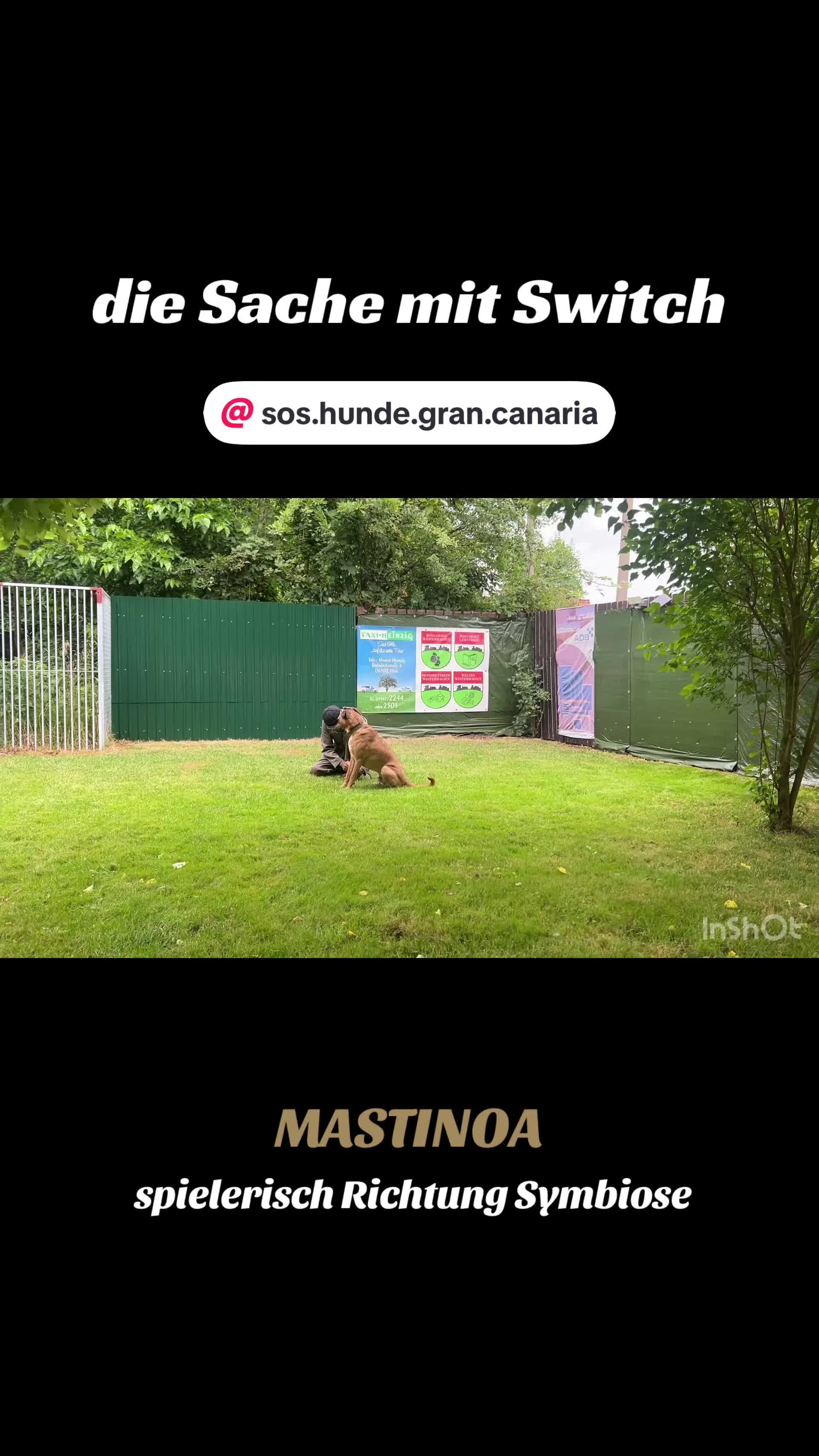 @MASTINOA pro