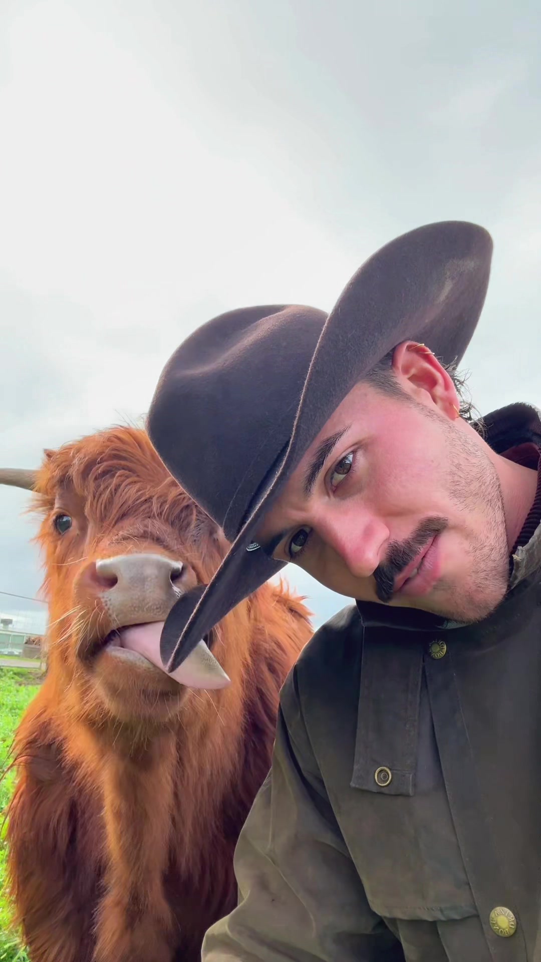@Liam 🤠