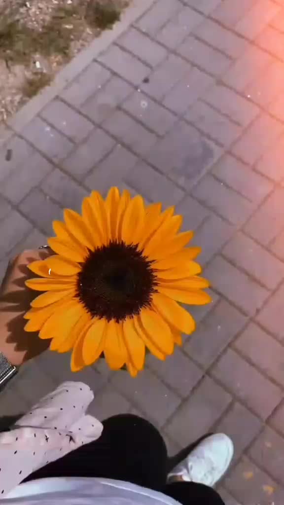 @7777777